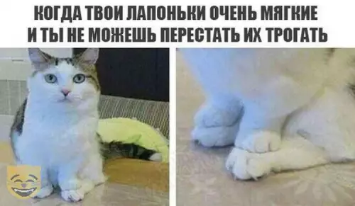 Смешная картинка №320090