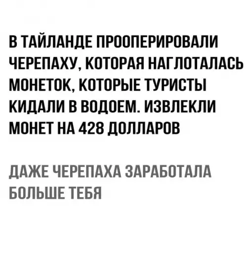 Смешная картинка №299576