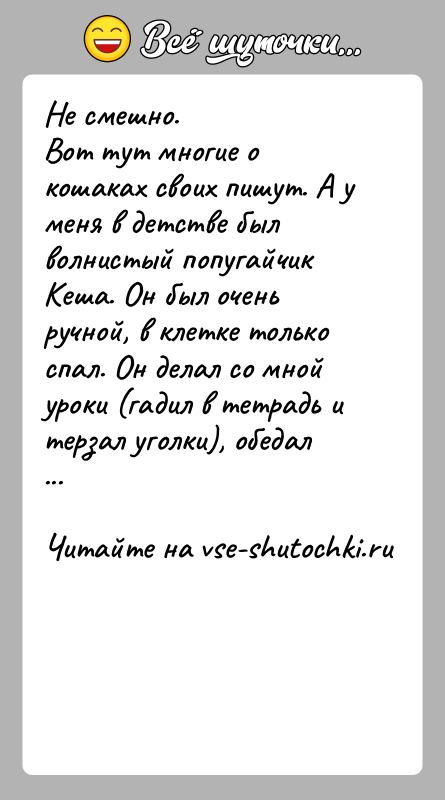 История: Не смешно.Вот тут многие о кошаках своих пишут. А у меня в детстве был волнистый попугайчик Кеша. Он был очень