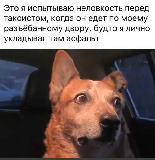 Смешная картинка №709206