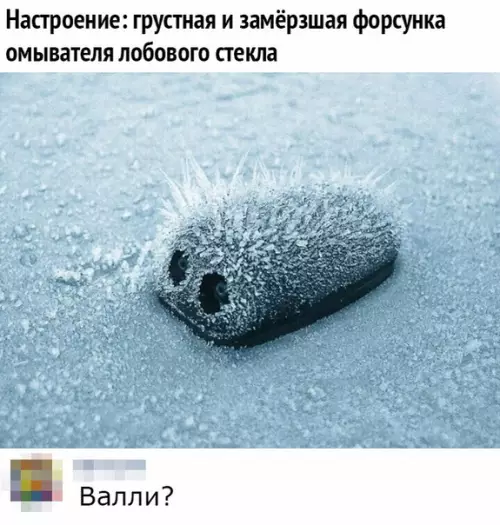 Смешная картинка №334270 ?