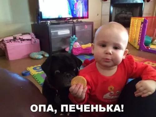 Смешная картинка №257013