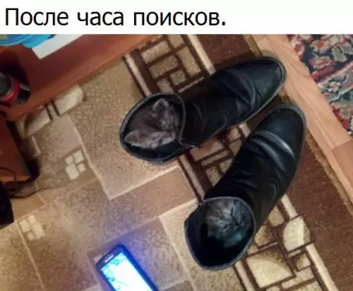 Смешная картинка №223786