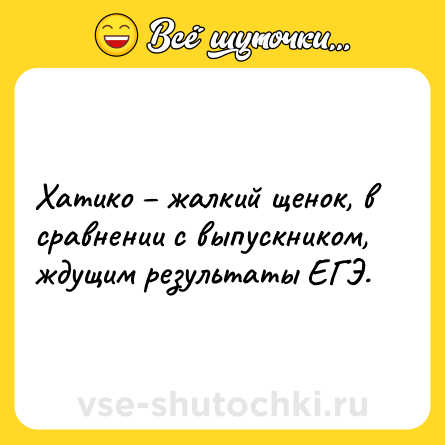 Шутка: Хатико – жалкий щенок, в сравнении с выпускником, ждущим результаты ЕГЭ.