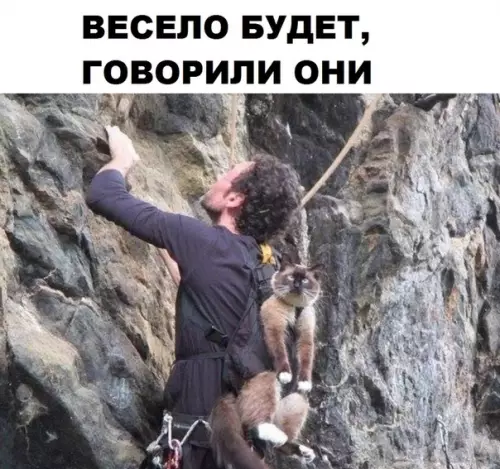 Смешная картинка №292810