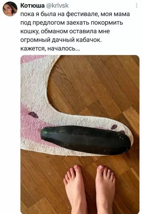 Кабачковое безумие началось! 🥒😱 - пока я была на фестивале, моя мама под предлогом заехать