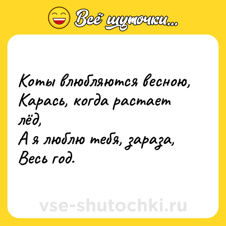 Шутка: Коты влюбляются весною,<br>Карась, когда растает лёд,<br>А я люблю тебя, зараза,<br>Весь год.