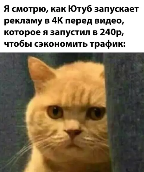 Смешная картинка №641218