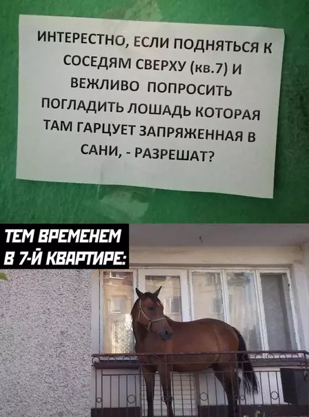 Смешная картинка №496391