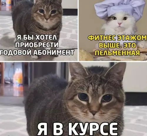 Смешная картинка №524722