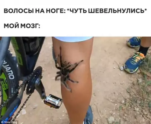 Смешная картинка №640450 показалось