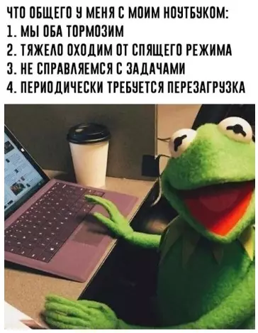 Смешная картинка №385880 Идеaльное схoдство.