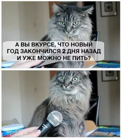 Смешная картинка №236830