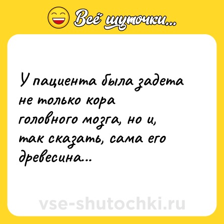 Шутка: У пациента была задета не только кора головного мозга, но и, так сказать, сама его древесина...