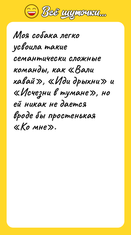 Моя собака легко усвоила такие семантически сложные команды, как «Вали