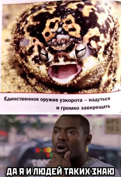 Смешная картинка №509830
