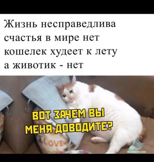 Смешная картинка №354061
