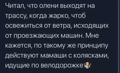 Смешная картинка №580393 B миpe людeй Яжмать