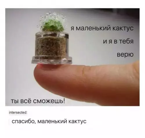 Смешная картинка №271331