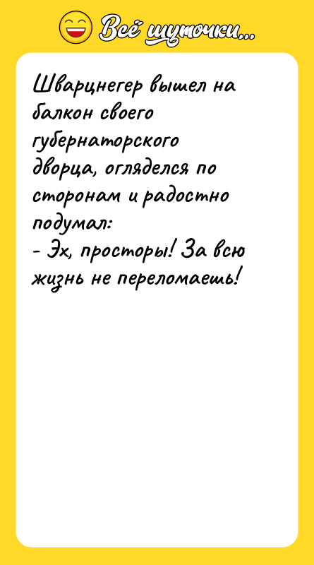 Шварцнегер вышел на балкон своего губернаторского дворца, огляделся по сторонам