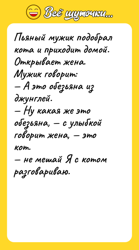 Пьяный мужик подобрал кота и приходит домой. Открывает жена. Мужик