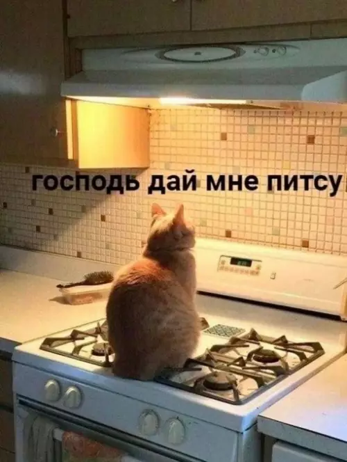 Смешная картинка №695348