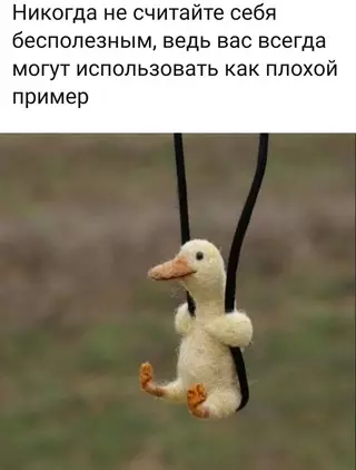 Смешная картинка №672433