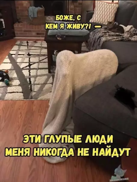 Смешная картинка №321328