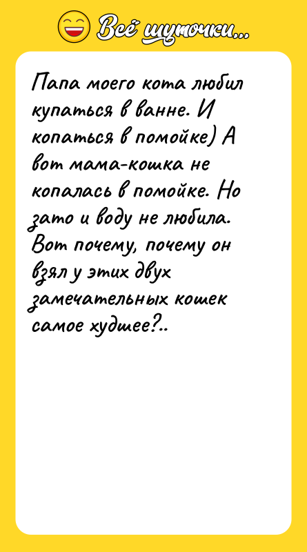 Папа моего кота любил купаться в ванне. И копаться в