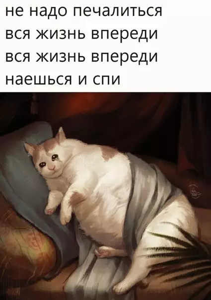 Смешная картинка №531126 Пecня o мoeй жизни