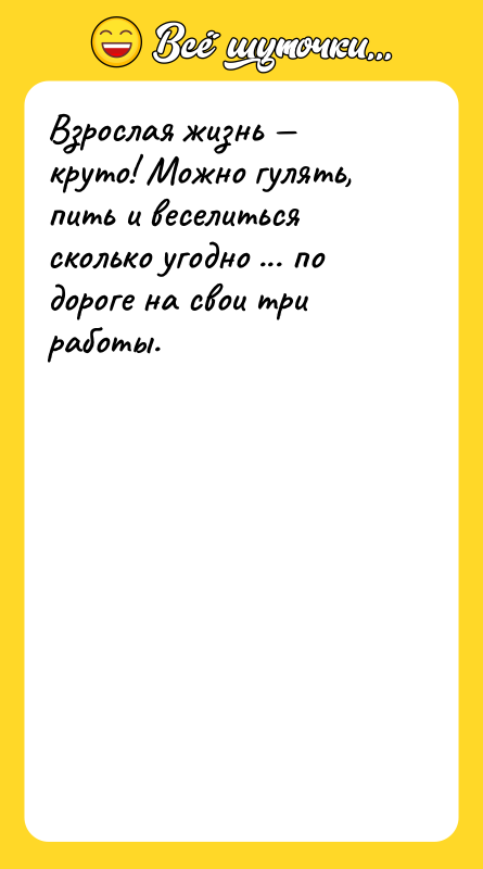 Взрослая жизнь круто! Можно гулять, пить и веселиться сколько