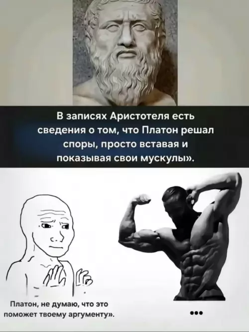 Когда аргументы закончились, включи качка 💪🏛️ - В записях Аристотеля есть сведения о том, что Платон решал