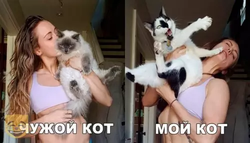 Смешная картинка №336986 #приколы #картинки #мемы ?