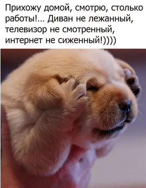 Смешная картинка №285399