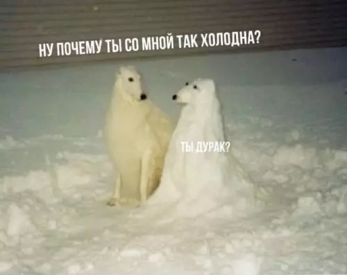 Смешная картинка №737419