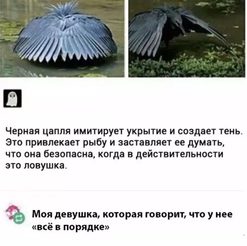 Смешная картинка №281561