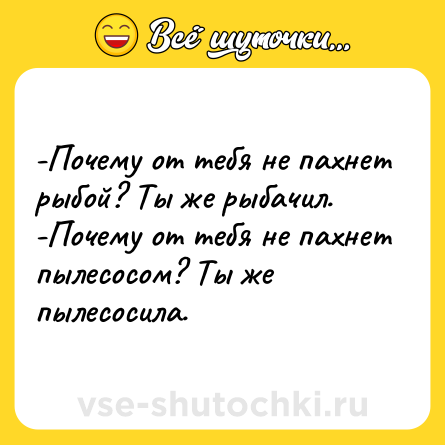 Шутка: -Почему от тебя не пахнет рыбой? Ты же рыбачил.<br>-Почему от тебя не пахнет пылесосом? Ты же пылесосила.
