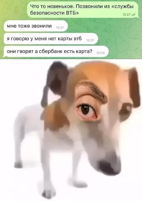 Смешная картинка №815799 А если найду? Мошенники