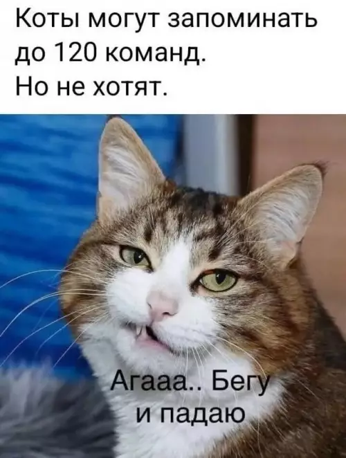 Смешная картинка №773611