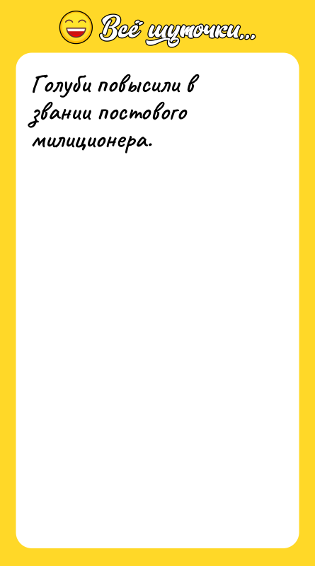 Голуби повысили в звании постового милиционера.