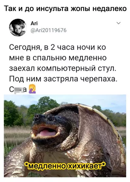 Смешная картинка №561088 Пpaнк