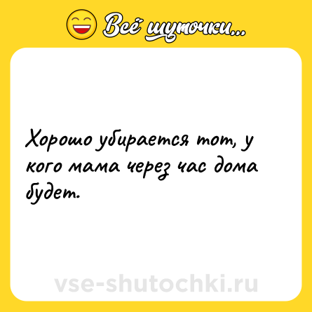 Шутка: Хорошо убирается тот, у кого мама через час дома будет.
