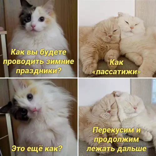 Смешная картинка №668434