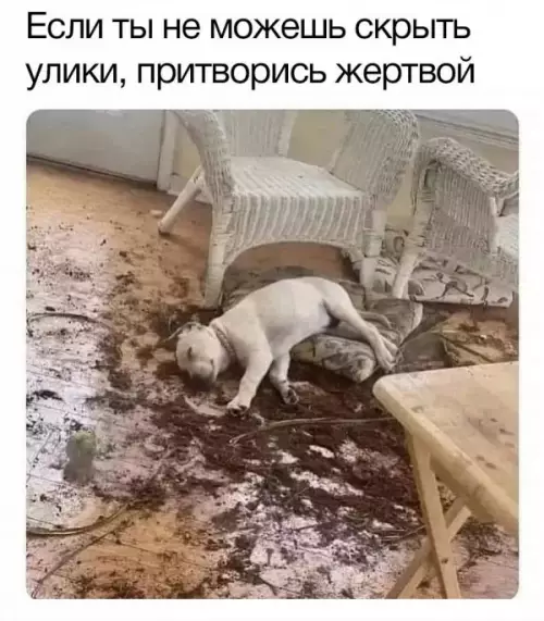 Смешная картинка №654494