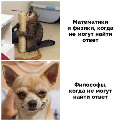 Смешная картинка №698276
