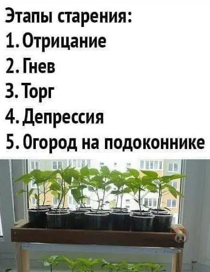 Смешная картинка №561351 Уважаемые, кто на какой стадии сейчас?
Я уже купил рассаду ?