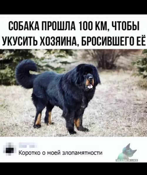 Смешная картинка №342825
