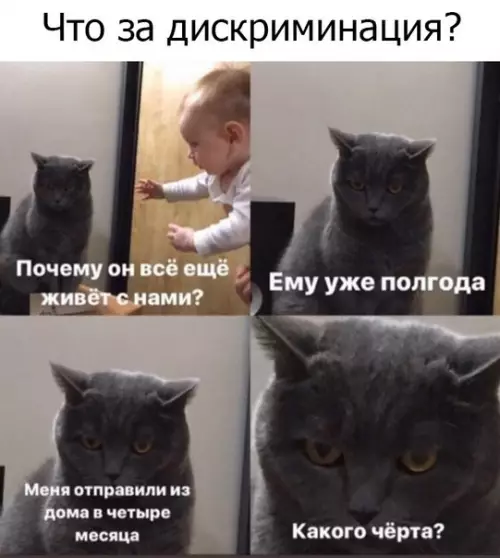 Смешная картинка №472703