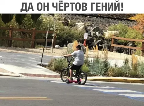 Смешная картинка №308613