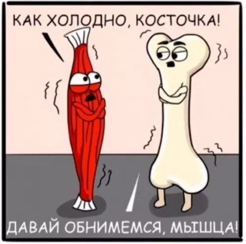Смешная картинка №607193 Цените жир, ребятки!
